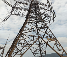 1769650933854020.png image.png