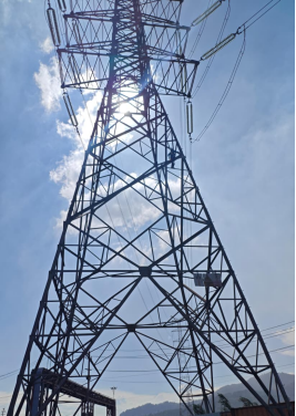 1769651075292425.png image.png