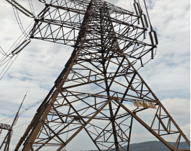 1769651116227656.png image.png