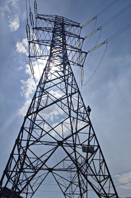 1769651234191824.png image.png