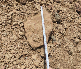 1769653210875093.png image.png